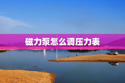 磁力泵怎么调压力表