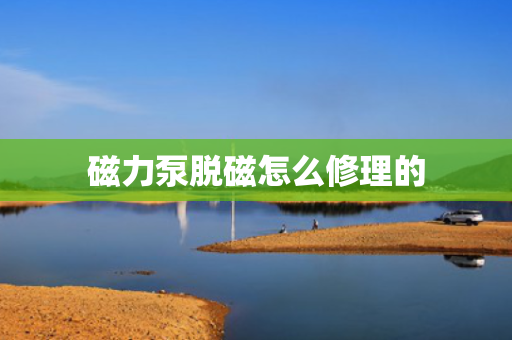 磁力泵脱磁怎么修理的