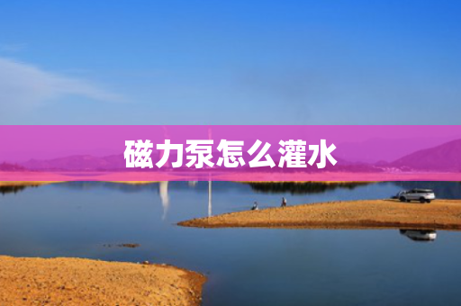 磁力泵怎么灌水
