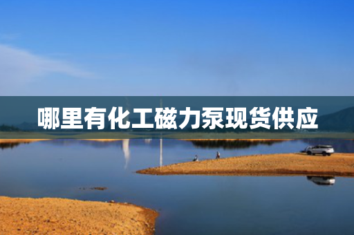 哪里有化工磁力泵现货供应