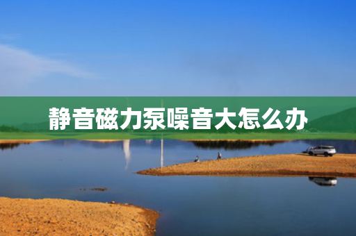 静音磁力泵噪音大怎么办