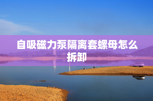 自吸磁力泵隔离套螺母怎么拆卸