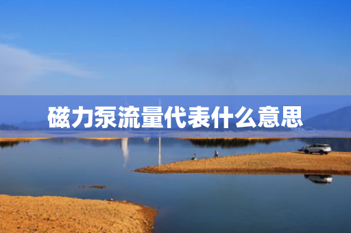 磁力泵流量代表什么意思