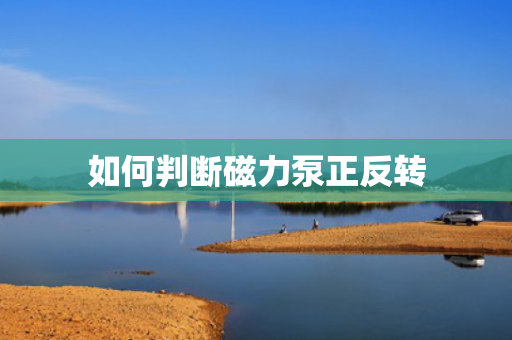 如何判断磁力泵正反转