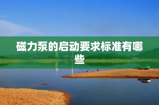 磁力泵的启动要求标准有哪些
