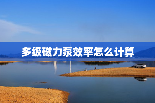 多级磁力泵效率怎么计算
