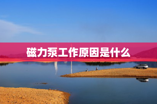 磁力泵工作原因是什么