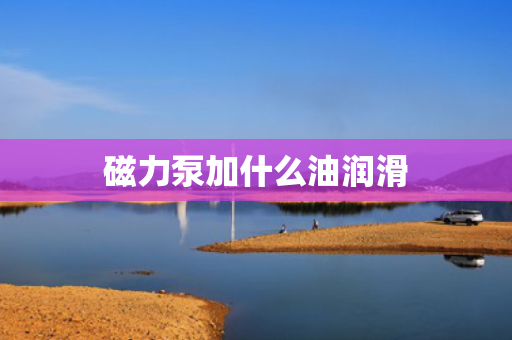 磁力泵加什么油润滑