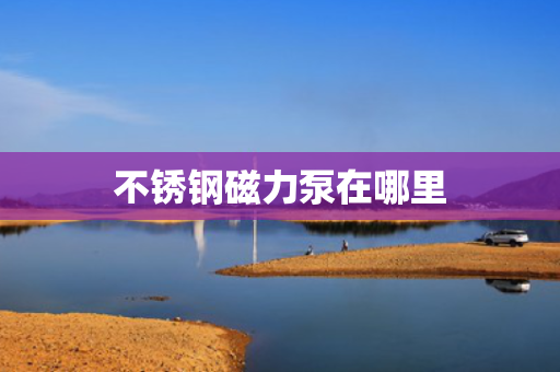 不锈钢磁力泵在哪里