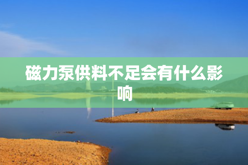 磁力泵供料不足会有什么影响