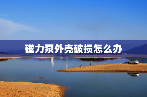 磁力泵外壳破损怎么办
