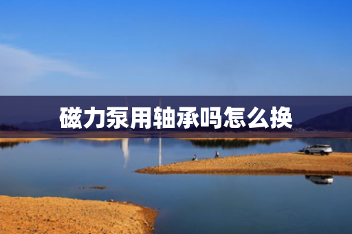 磁力泵用轴承吗怎么换