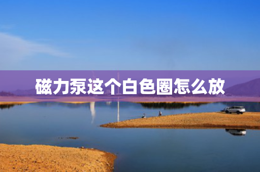 磁力泵这个白色圈怎么放