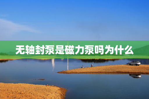 无轴封泵是磁力泵吗为什么