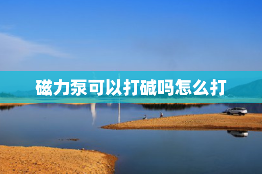 磁力泵可以打碱吗怎么打