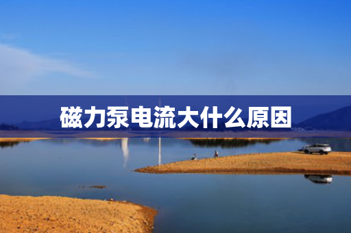 磁力泵电流大什么原因