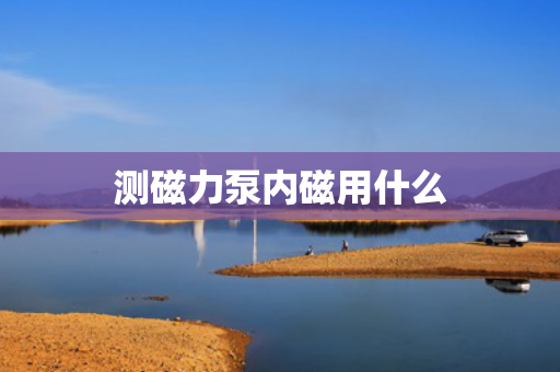 测磁力泵内磁用什么