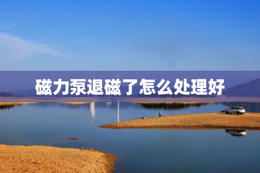 磁力泵退磁了怎么处理好