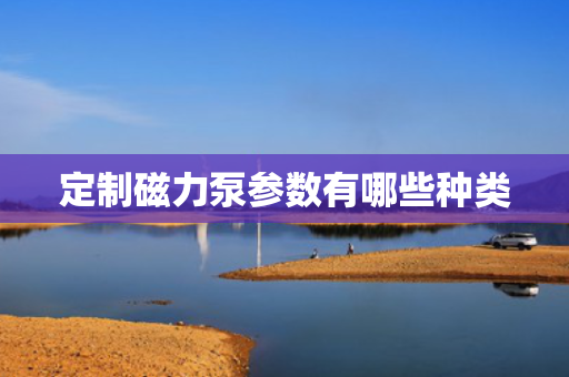 定制磁力泵参数有哪些种类