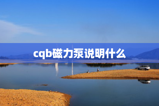 cqb磁力泵说明什么