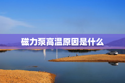 磁力泵高温原因是什么