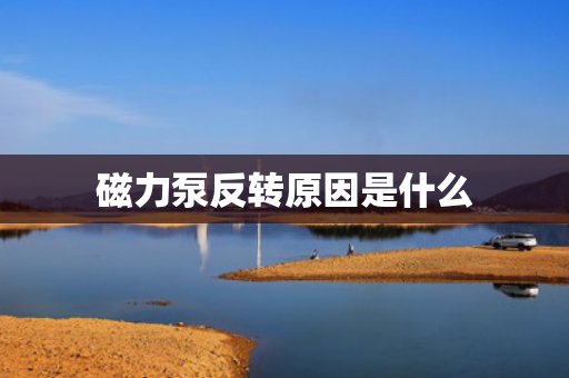 磁力泵反转原因是什么