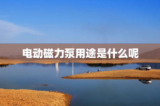 电动磁力泵用途是什么呢