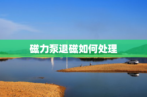 磁力泵退磁如何处理