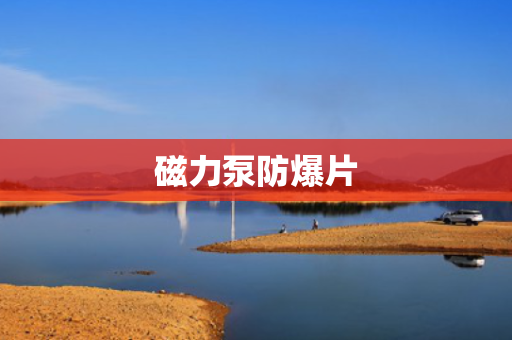 磁力泵防爆片