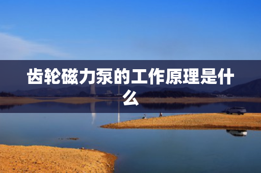 齿轮磁力泵的工作原理是什么
