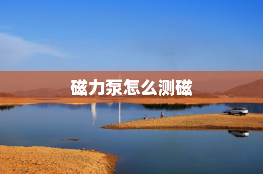 磁力泵怎么测磁