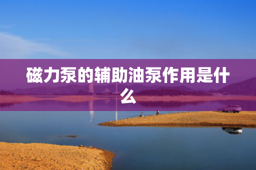 磁力泵的辅助油泵作用是什么