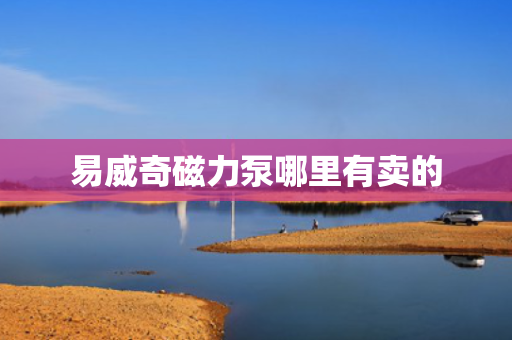 易威奇磁力泵哪里有卖的