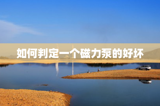 如何判定一个磁力泵的好坏