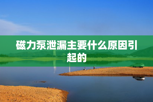 磁力泵泄漏主要什么原因引起的