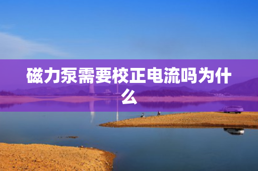磁力泵需要校正电流吗为什么