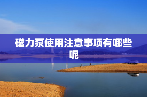 磁力泵使用注意事项有哪些呢
