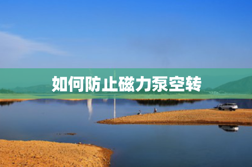 如何防止磁力泵空转