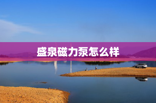 盛泉磁力泵怎么样