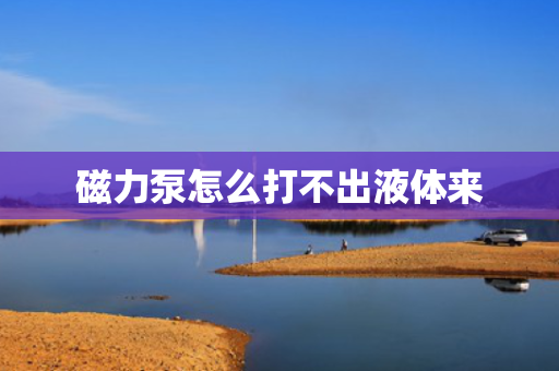 磁力泵怎么打不出液体来