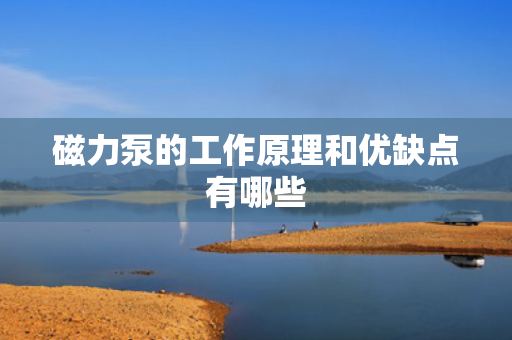 磁力泵的工作原理和优缺点有哪些