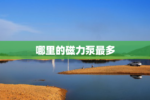 哪里的磁力泵最多