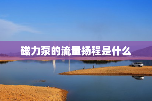 磁力泵的流量扬程是什么