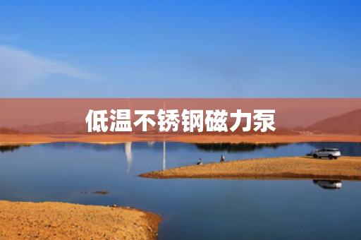 低温不锈钢磁力泵