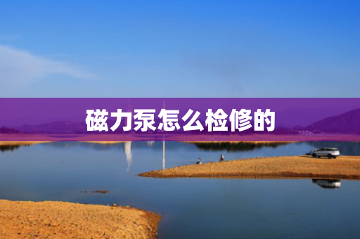 磁力泵怎么检修的