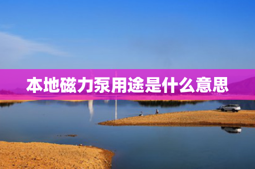本地磁力泵用途是什么意思
