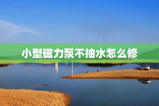 小型磁力泵不抽水怎么修