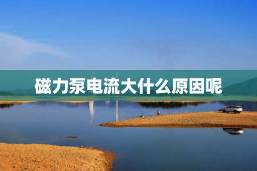 磁力泵电流大什么原因呢