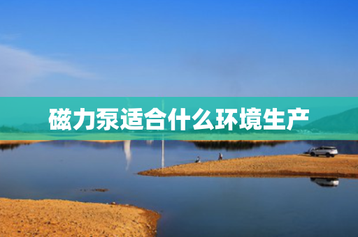磁力泵适合什么环境生产