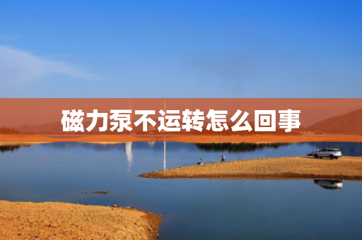 磁力泵不运转怎么回事
